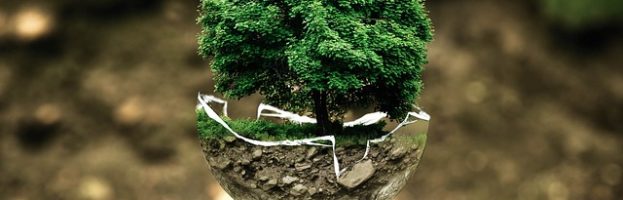 … PER L’AMBIENTE E L’ECOLOGIA