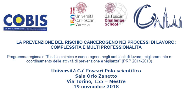 LA PREVENZIONE DEL RISCHIO CANCEROGENO NEI PROCESSI DI LAVORO: COMPLESSITÀ E MULTI PROFESSIONALITÀ